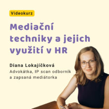 Mediační techniky v HR