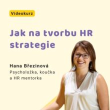 Tvorba HR strategie