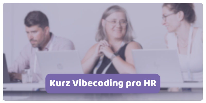 vibecoding pro HR